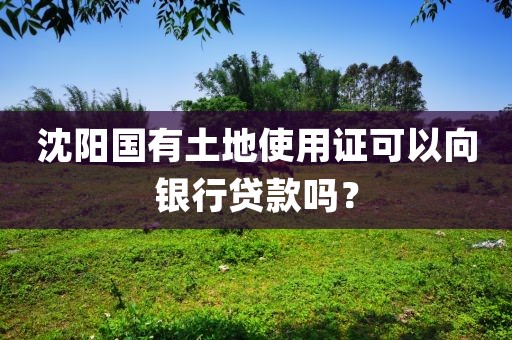 沈阳国有土地使用证可以向银行贷款吗？